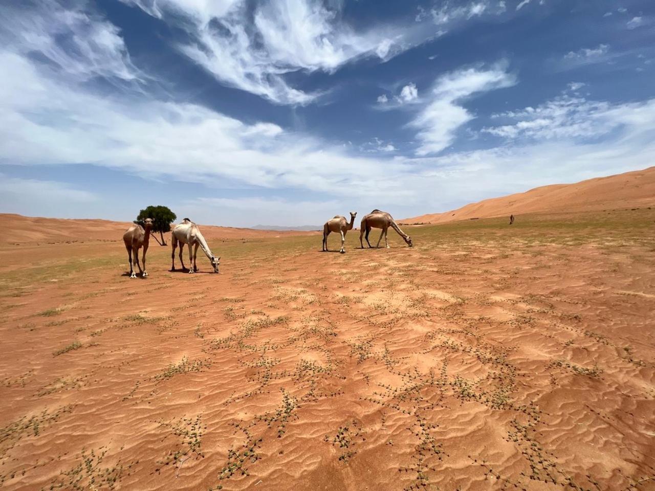 Private Bedouin Desert Camp Shāhiq Exterior foto